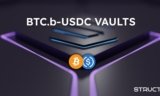 Struct Finance Transforms DeFi Landscape on Avalanche With the Launch of Tranche-based BTC.B-USDC Vaults